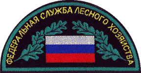 нашивка
