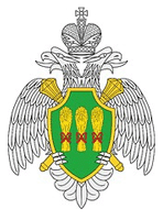 пензенская