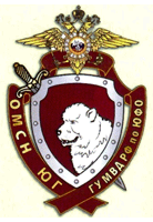 нагрудный знак