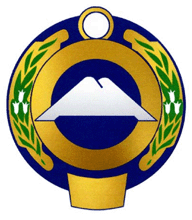      2017 